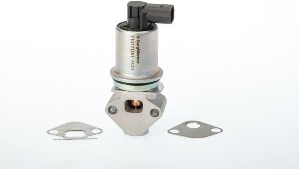 710721D/1 (BorgWarner (Wahler))