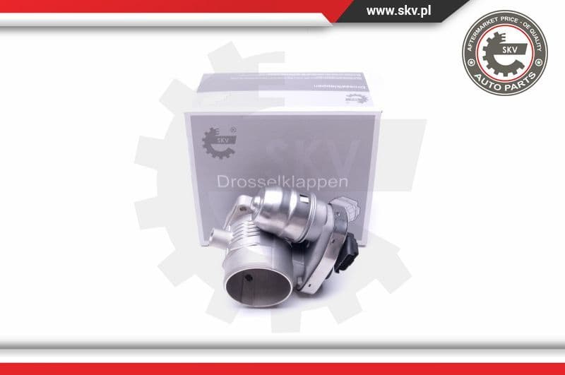 Throttle Body 12SKV080