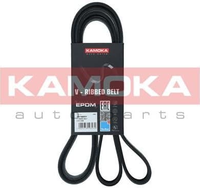 V-ribbed Belt 7016231