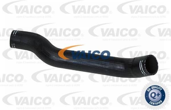 Charge Air Hose Original VAICO Quality V240682