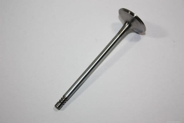 Intake Valve 130107310