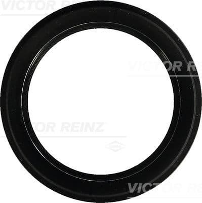 Shaft Seal, crankshaft 81-54272-00