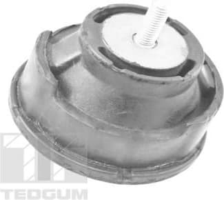 Mounting, engine TED12723