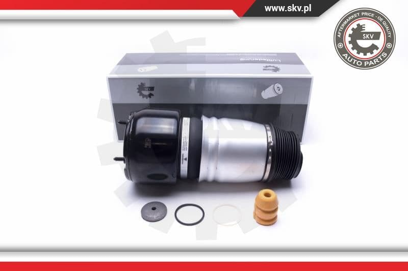 Air Suspension Strut 58SKV064