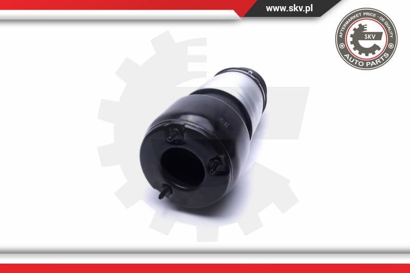 Air Suspension Strut 58SKV064 - image 2