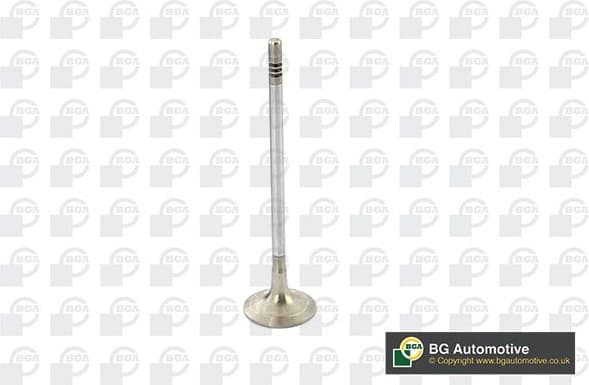 Exhaust Valve V969611