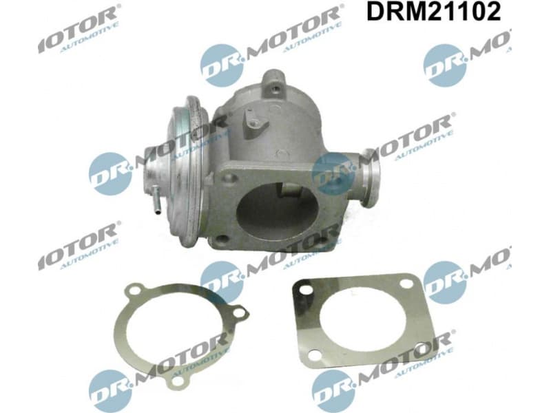 EGR Valve DRM21102