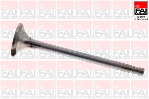 Exhaust Valve EV95207