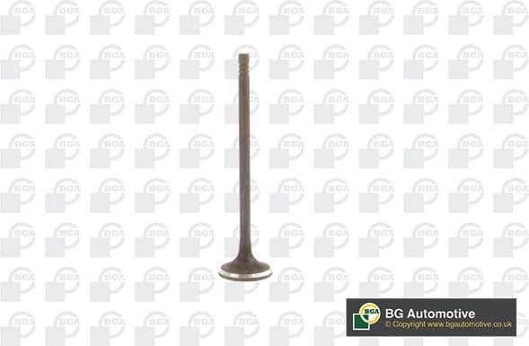 Exhaust Valve V230711
