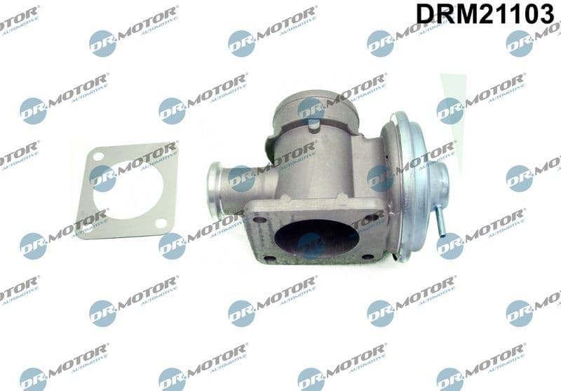 EGR Valve DRM21103