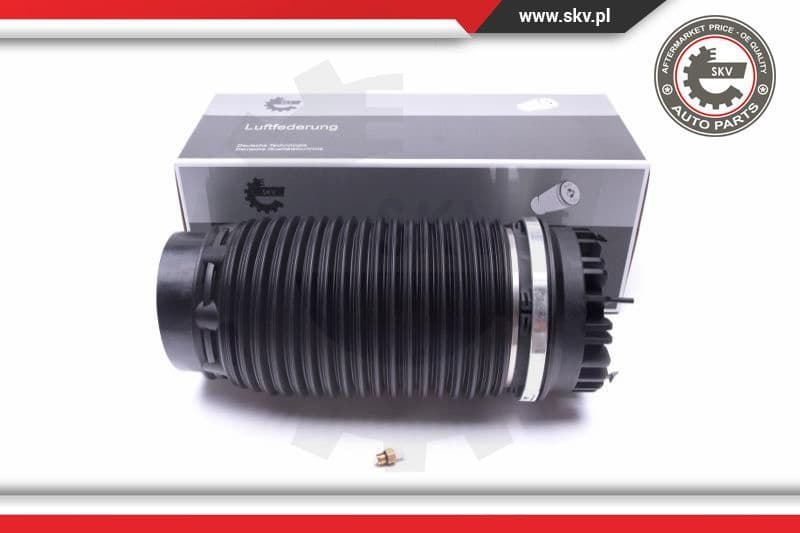 Air Spring, suspension 58SKV056