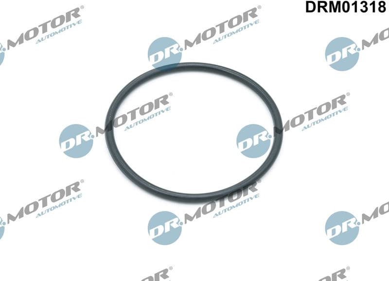 Gasket, oil filter housing DRM01318