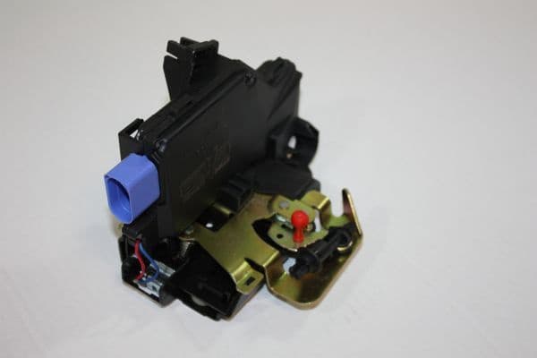 Door Lock 100101110