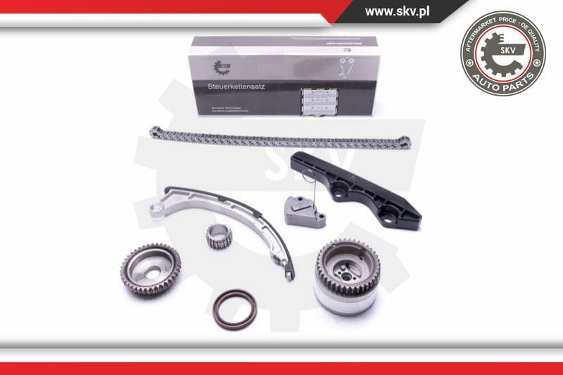 Timing Chain Kit 21SKV206