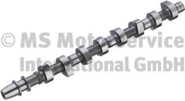 Camshaft 50007064