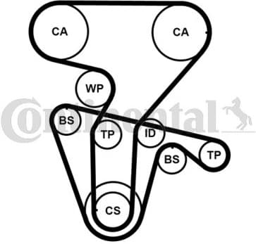 Water Pump & Timing Belt Kit CT877WP4PRO