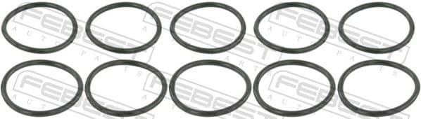Gasket, oil filter housing RINGOL-024-PCS10