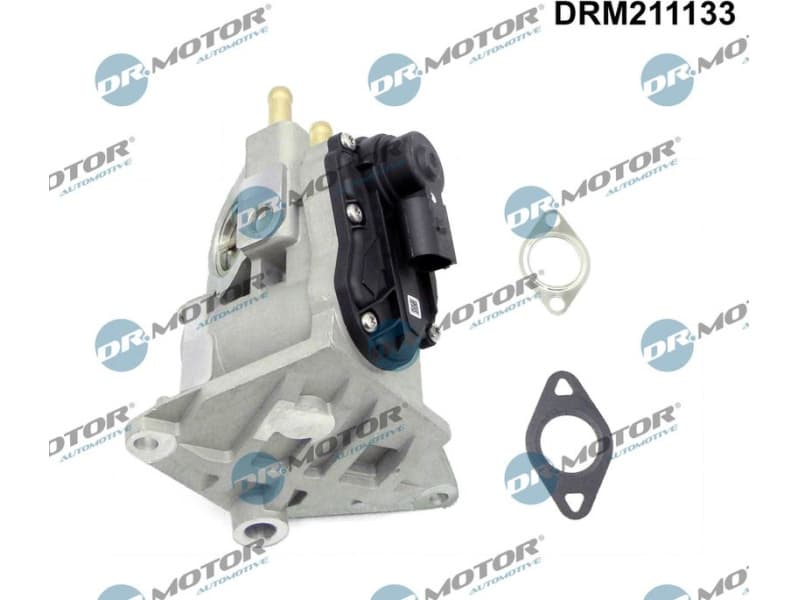 EGR Valve DRM211133