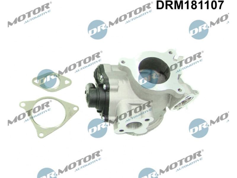 EGR Valve DRM181107