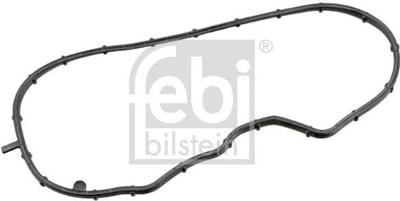 Gasket, timing case 180636