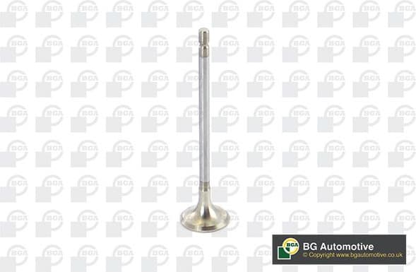 Exhaust Valve V123003