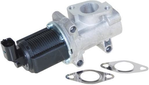 EGR Valve 140024410