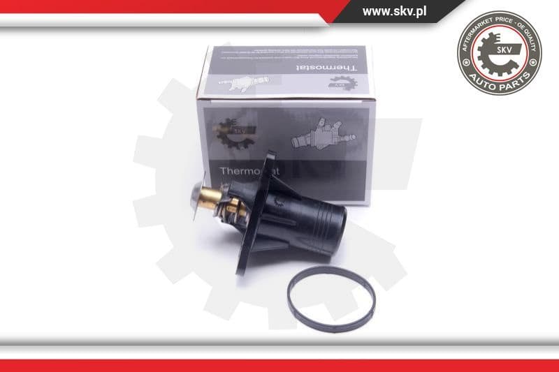 Thermostat, coolant 20SKV193