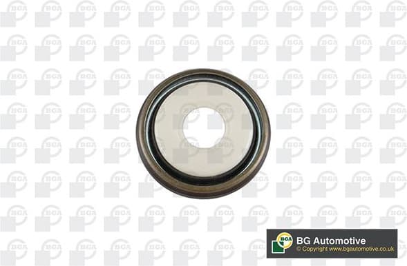 Shaft Seal, crankshaft OS8300