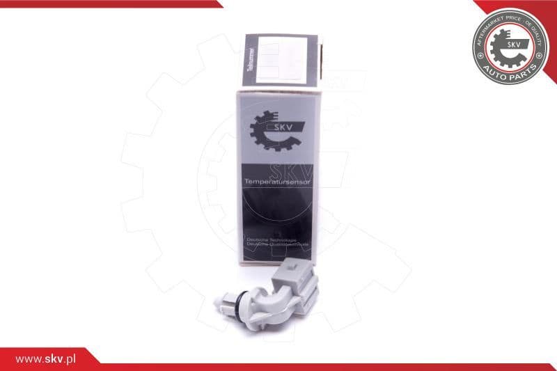 Sensor, intake air temperature 17SKV693