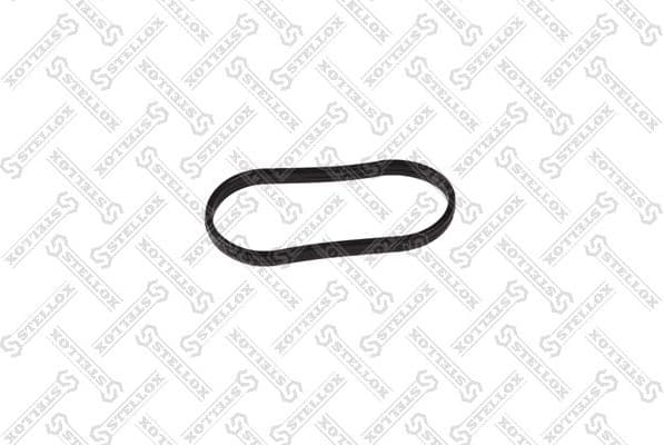 Gasket, intake manifold housing 11-26131-SX