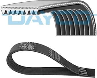 V-ribbed Belt 8PK2020HD