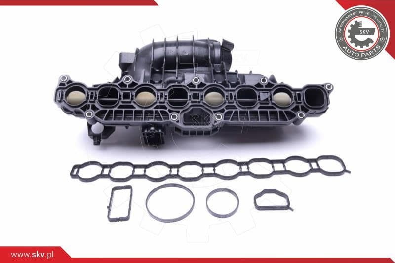 Intake Manifold Module 49SKV030 - image 2