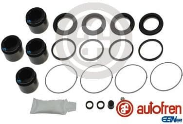 Repair Kit, brake caliper D43017C