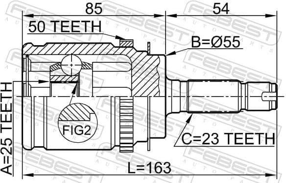 Joint Kit, drive shaft 0310-RD1RA50 - image 2