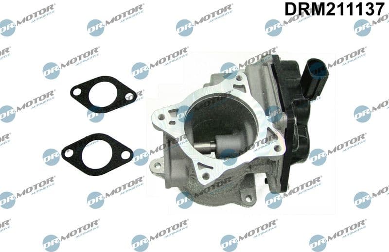 EGR Valve DRM211137