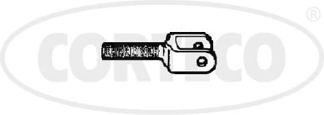 49401292