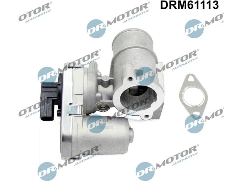 EGR Valve DRM61113