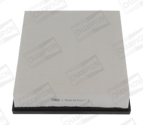 Air Filter CAF101303P