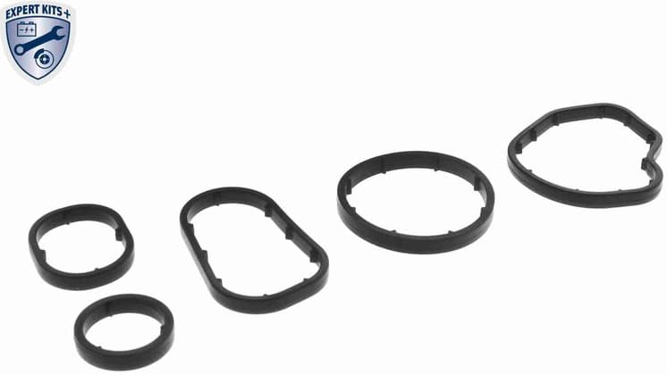 Oil Cooler, engine oil EXPERT KITS + V30-60-1352 - image 2