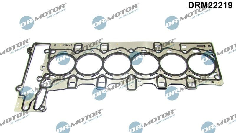 Gasket, cylinder head DRM22219