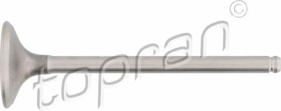 Intake Valve 700 657