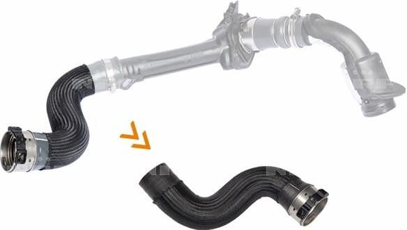 Charge Air Hose 166167