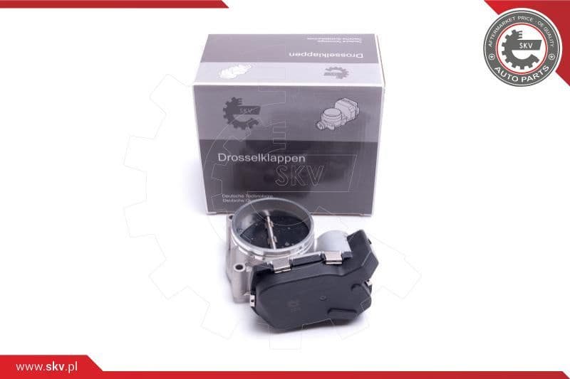 Throttle Body 12SKV115
