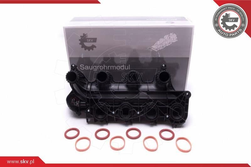 Intake Manifold Module 49SKV065
