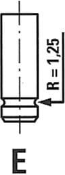 Exhaust Valve R6095/RCR