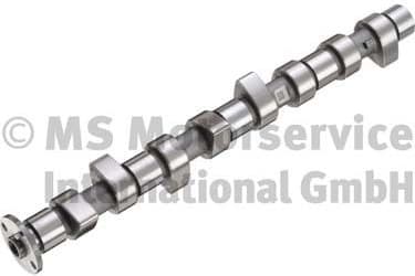 Camshaft 50006282