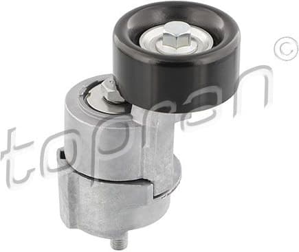 Belt Tensioner, V-ribbed belt 821 843