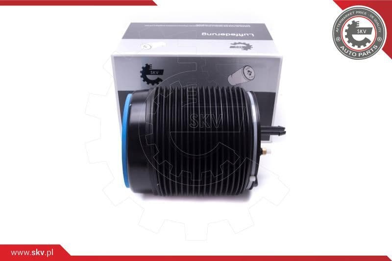 Air Spring, suspension 58SKV072