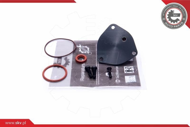 Repair Set, vacuum pump (braking system) 18SKV806
