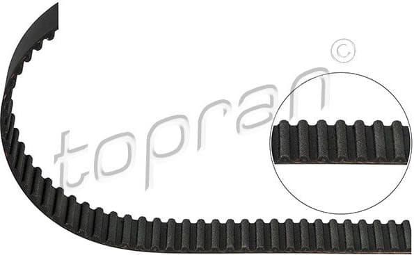 Timing Belt 206 821